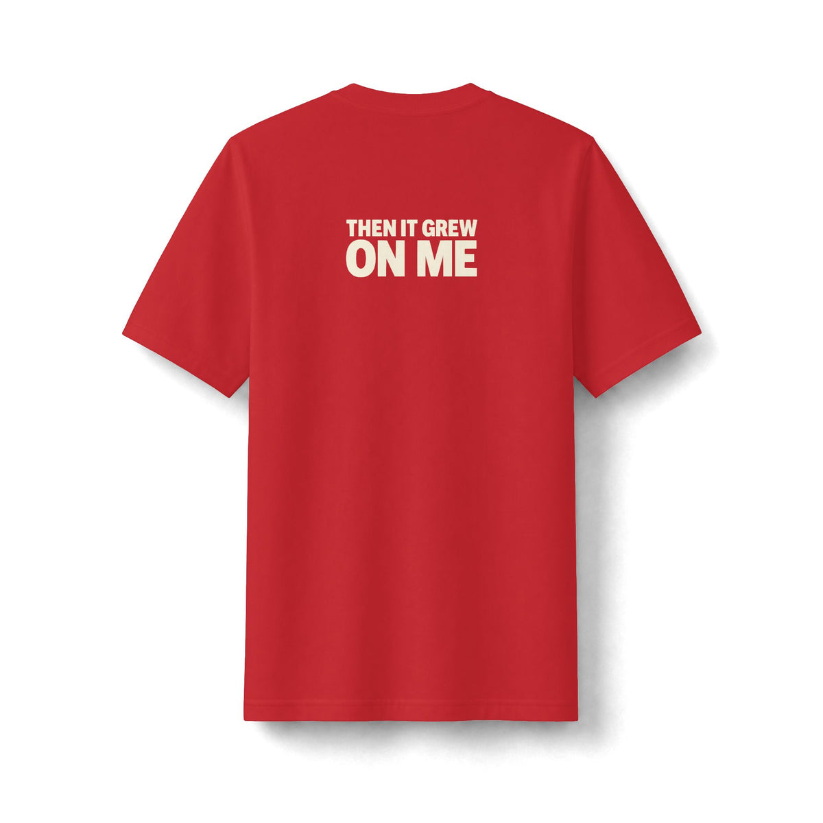 I Used to Hate Facial Hair Tee (Heavyweight)