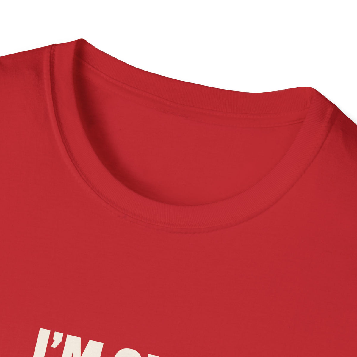 "I'm on a Seafood Diet" funny couples graphic on a Gildan Softstyle unisex tee - Couples Therapy Apparel (view 15)