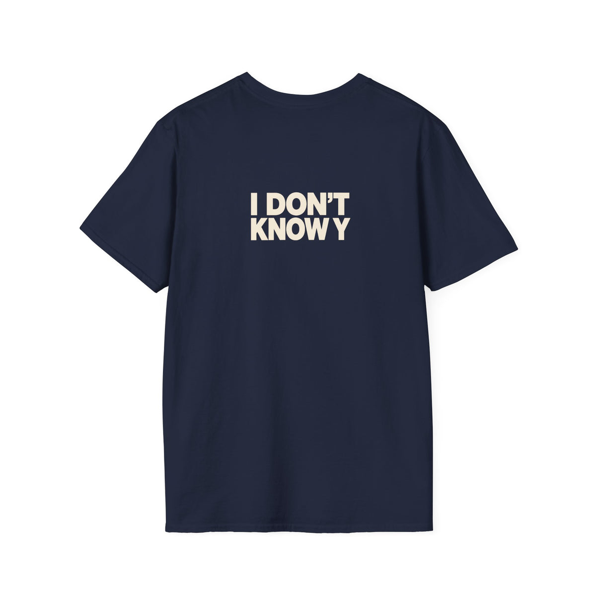 "I Only Know 25 Letters" funny couples graphic on a Gildan Softstyle unisex tee - Couples Therapy Apparel (view 11)