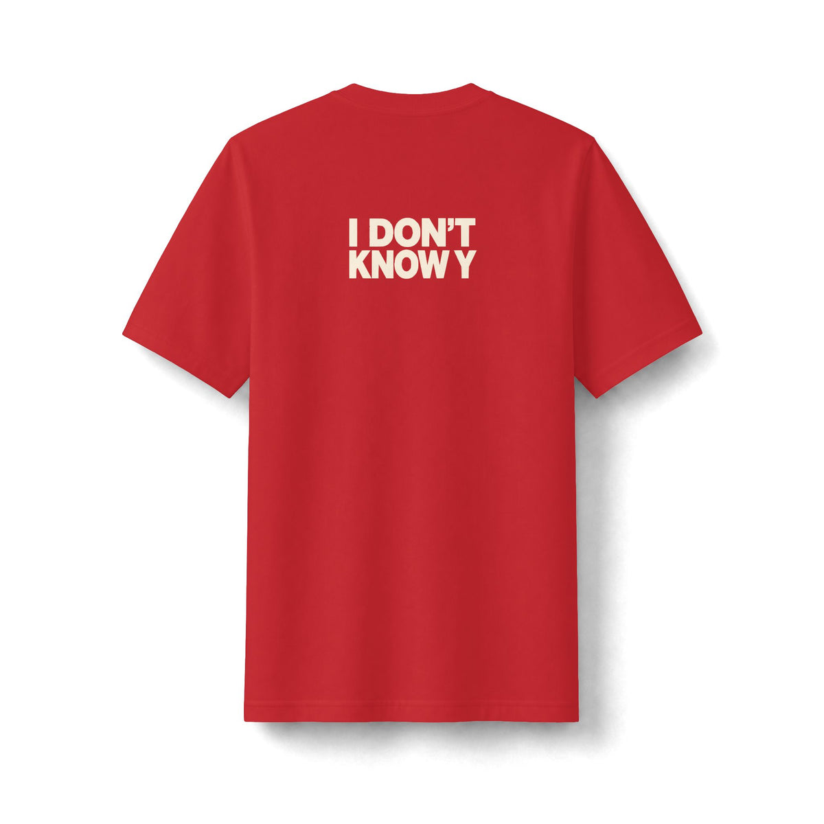 I Only Know 25 Letters Tee (Heavyweight)